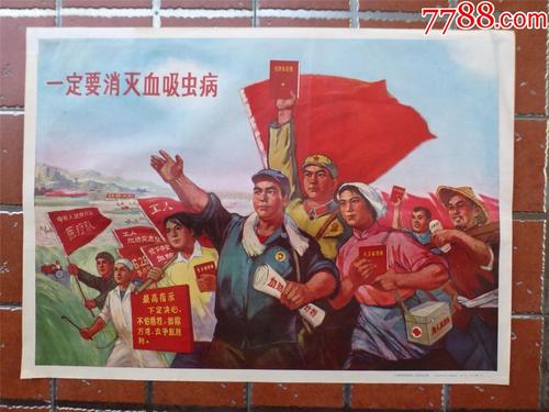 南非护照怎么买高仿